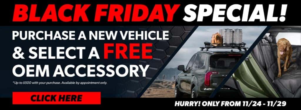 Black Friday Vehicle Promo