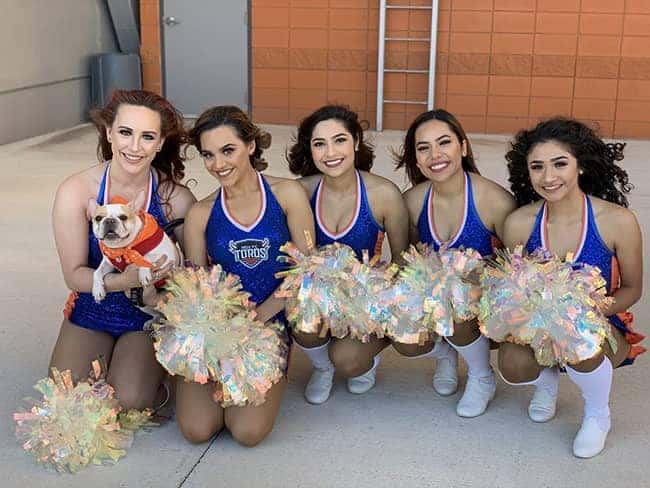 Community and Events - Bark at the Park-5