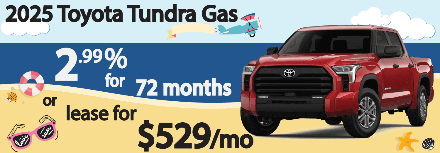Tundra-Banner