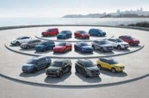 Kia Family Snapshot