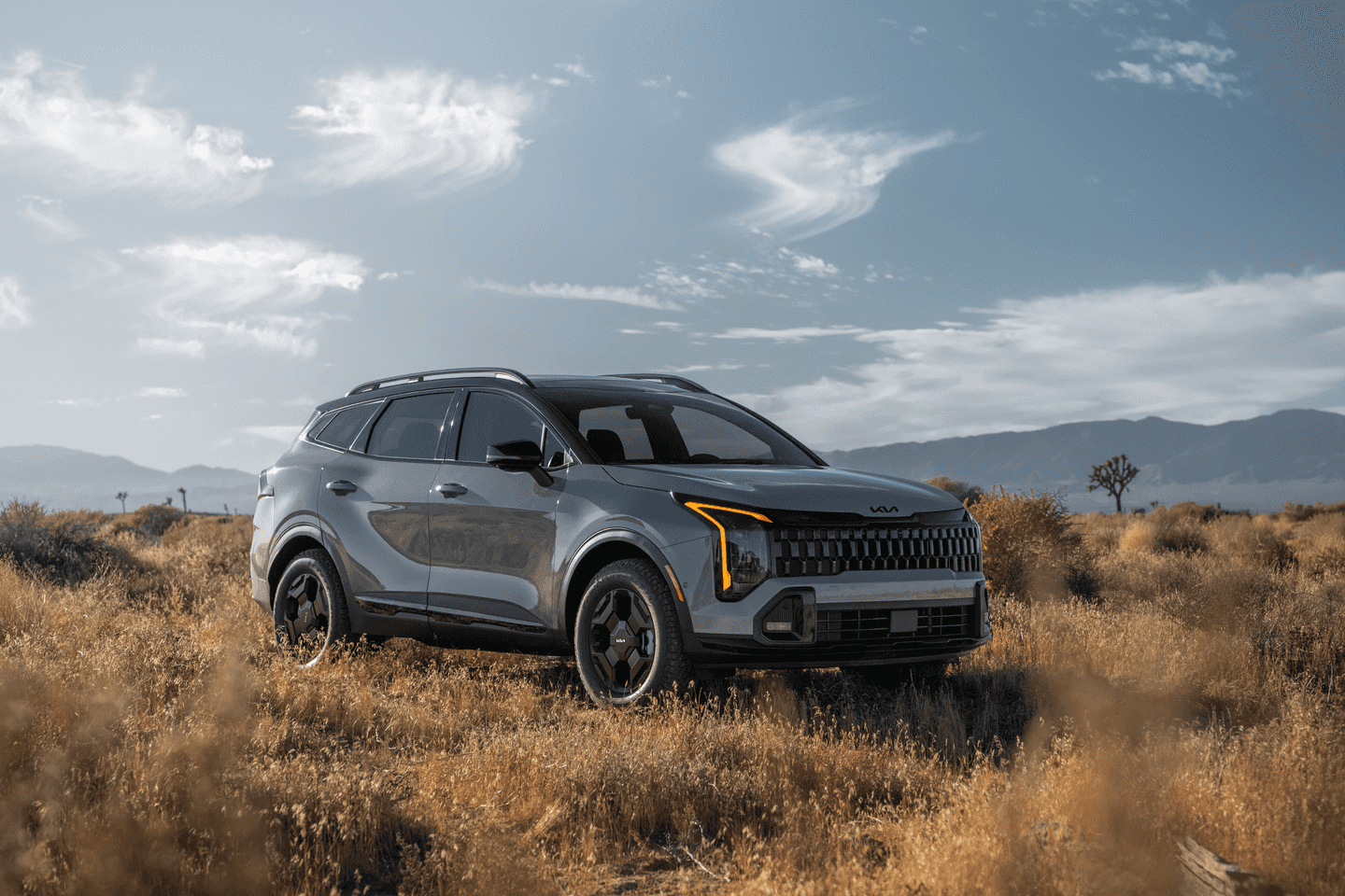 2026-Kia-Sportage-Grass