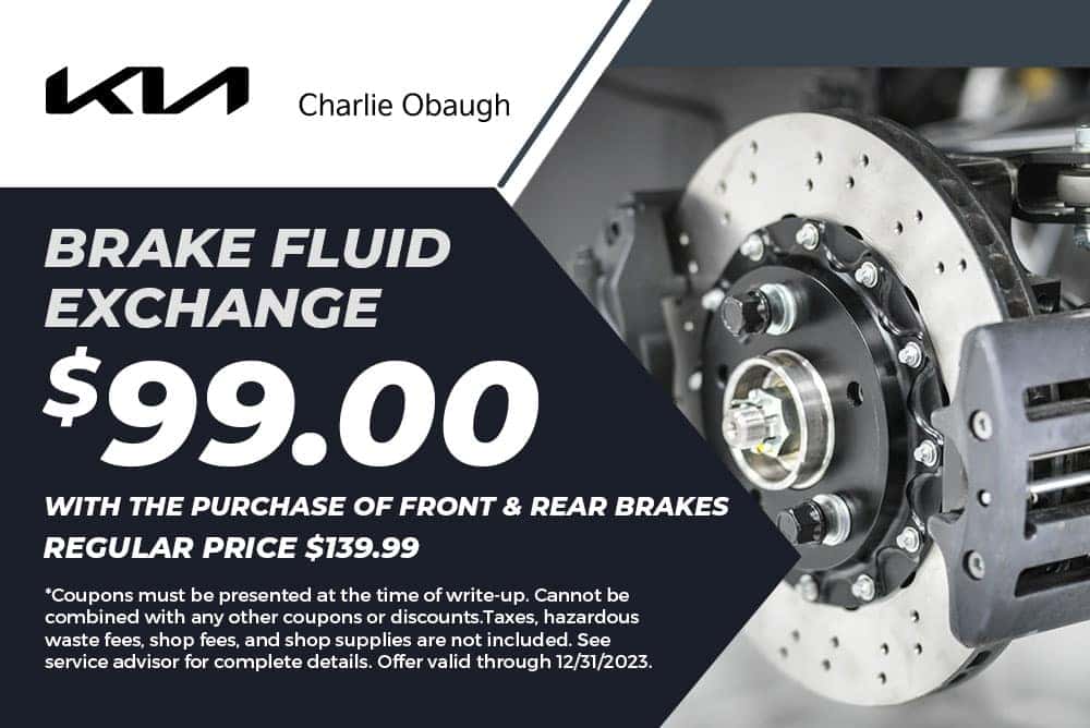Brake Fluid Exchange