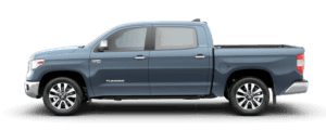 Tundra