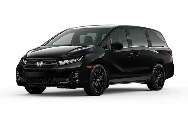 Sport-L