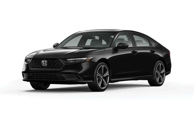 Sport Hybrid