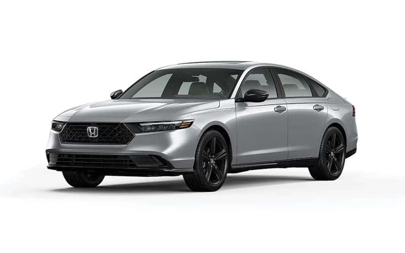 Sport-L Hybrid