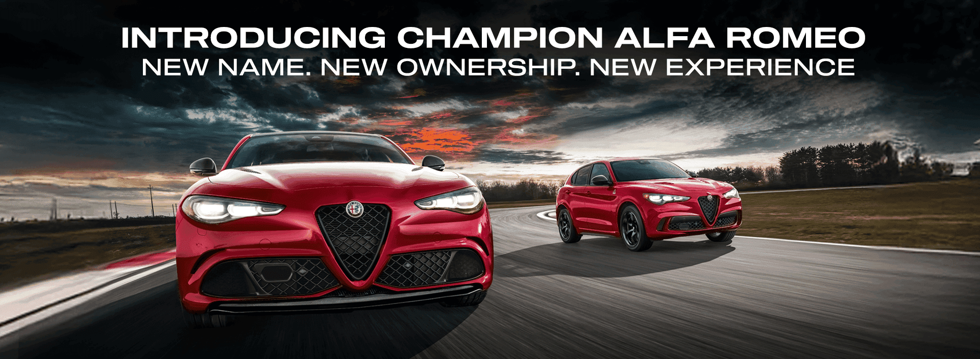 CHAMPION ALFA ROMEO