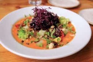 Vegan Food in Fort Worth