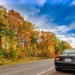 Car driving along trees in Fort Worth