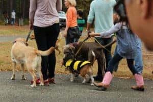 Dog Parks in Fort Worth