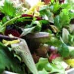 vegetarian options in Fort Worth, TX