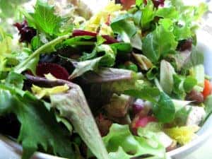 vegetarian options in Fort Worth, TX