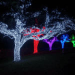 Christmas lights in Fort Worth, TX