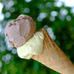 Ice Cream Shops in Fort Worth, TX