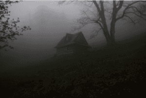 Alone In The Woods by m wrona is licensed with Unsplash License