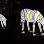 Holiday events happening in Fort Worth, TX