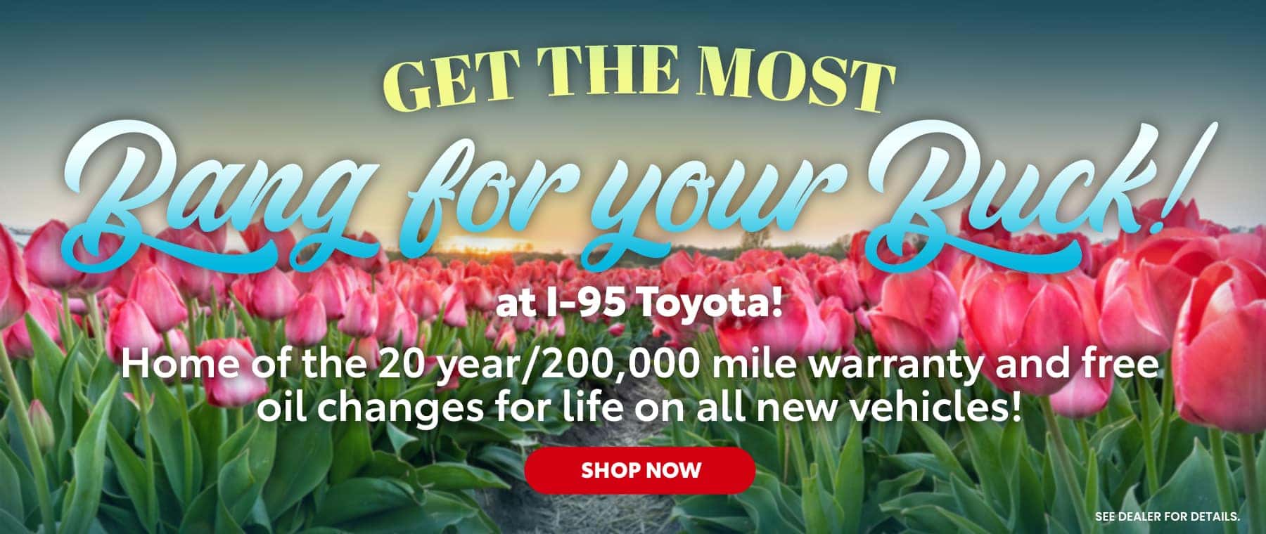 Top 131+ images new brunswick toyota dealers In.thptnganamst.edu.vn