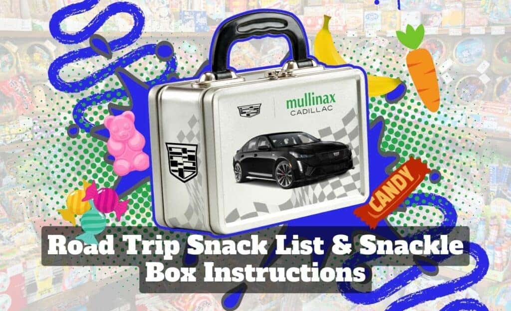 Road Trip Snack List And Snackle Box Instructions