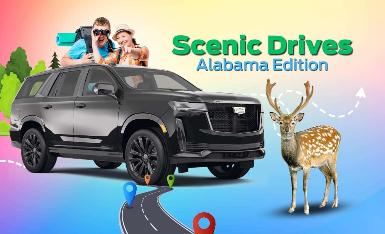 scenic drives Alabama edition