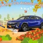 How To Know It's Autumn