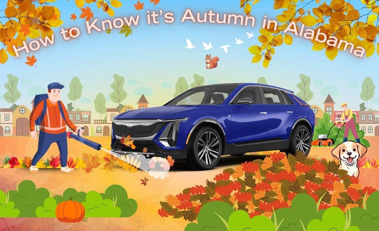 How To Know It's Autumn