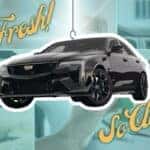 Vehicle Air Fresheners
