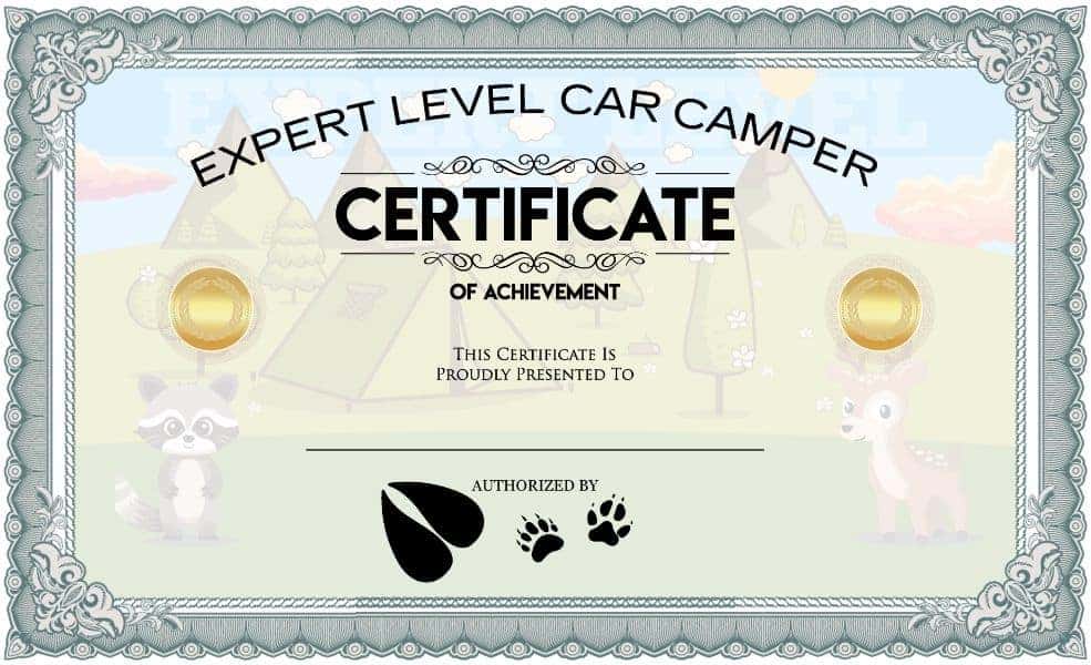 expert car certificate