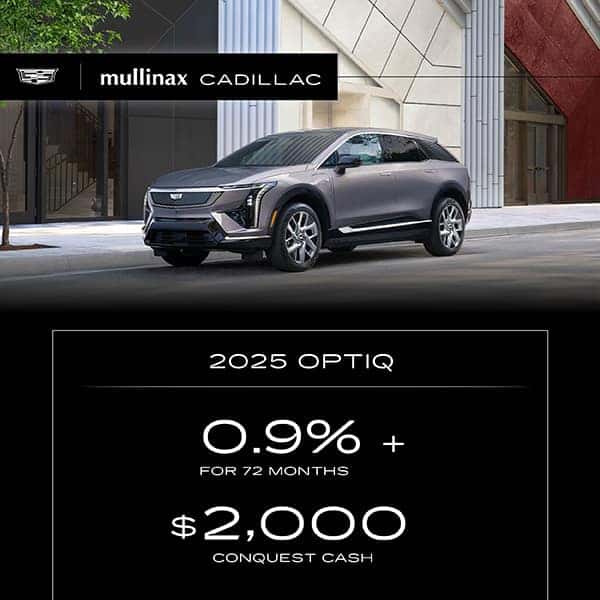 2025 Optiq