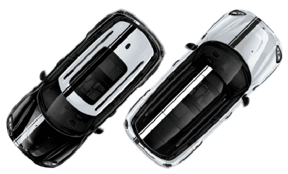 Countryman Ying Yang Edition