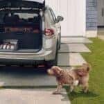 2026 Nissan Rogue Cargo System