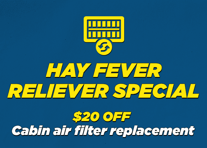 Hayfever Reliever Special Cabin air filter replacement $20.00 off replacemetn cabin filter