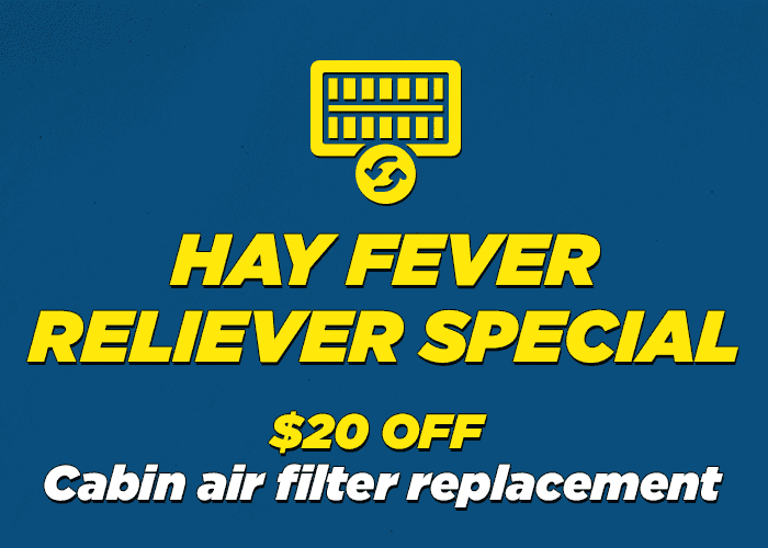 Hayfever Reliever Special Cabin air filter replacement $20.00 off replacemetn cabin filter