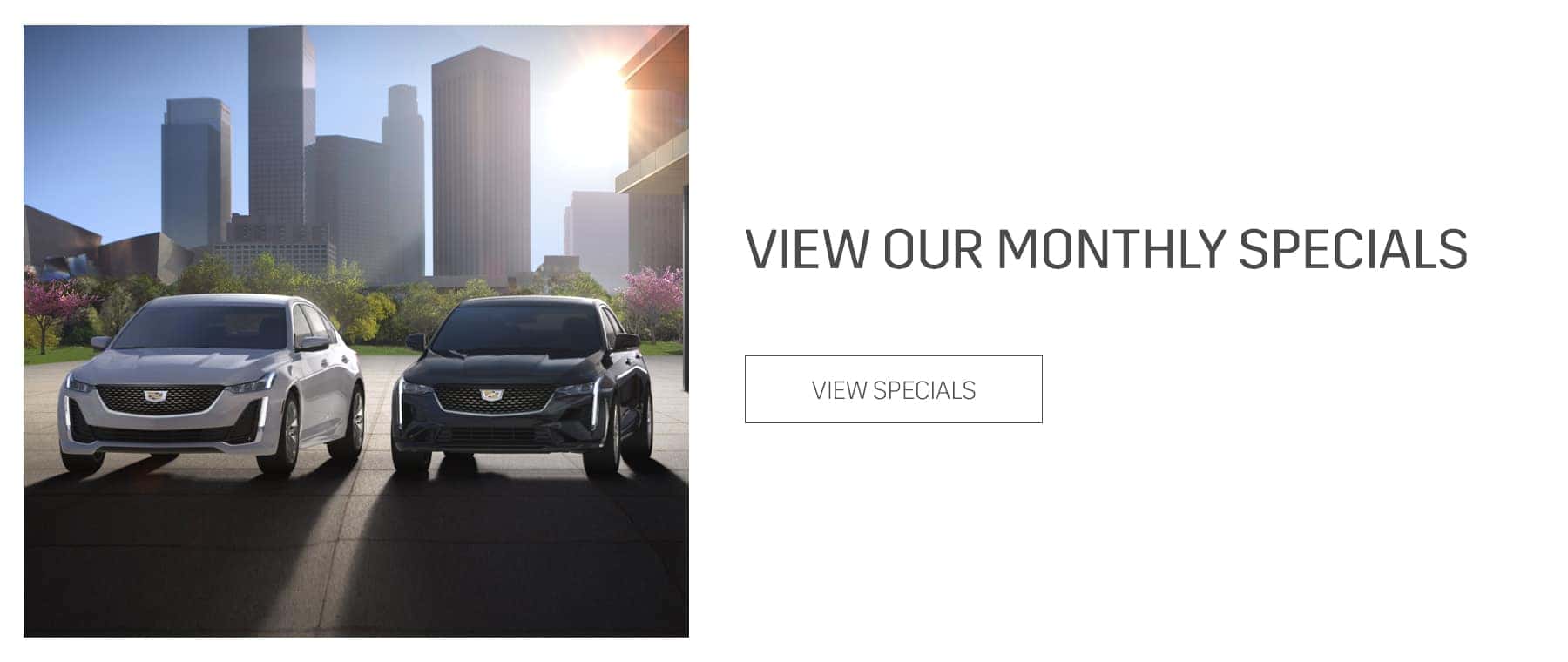 Monthly Specials