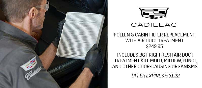 Pollen & Cabin Filter Replacement with Air Duct Treatment
