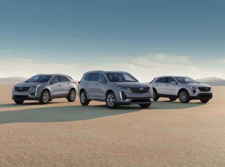 Select 2023 & 2024 Cadillac Models