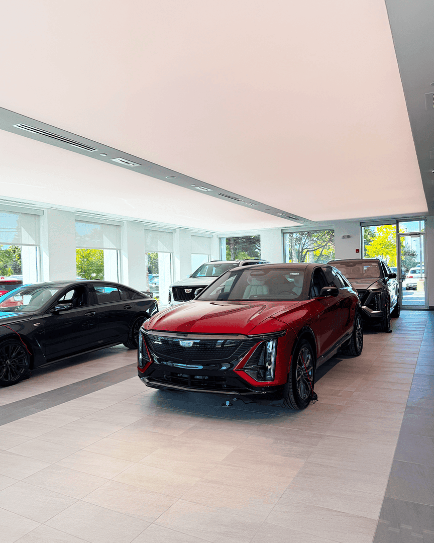 Showroom-1