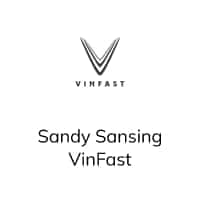 Sandy Sansing VinFast