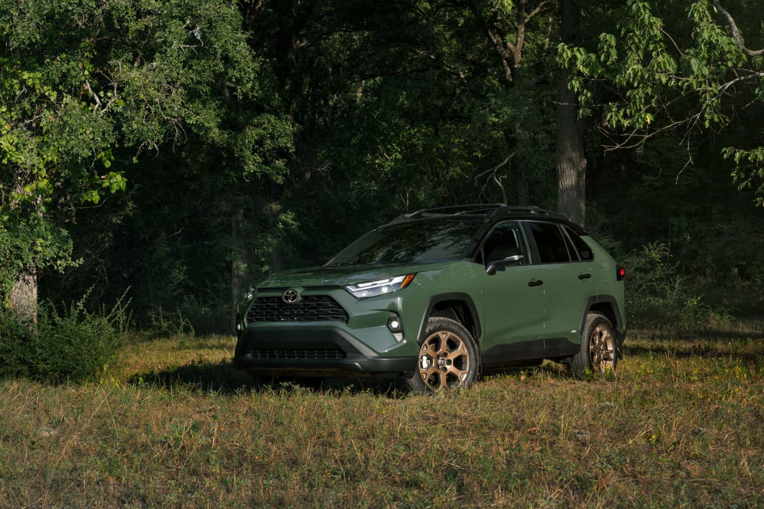 2024 Toyota RAV4 Hybrid Woodland Edition Army Green