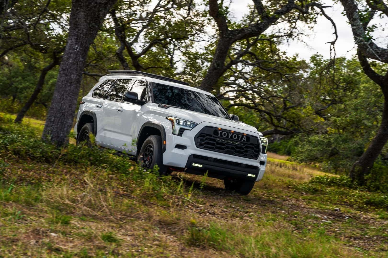 A Off-Roading 2024 Toyota Sequoia TRD Pro Driving Towards The Campsite