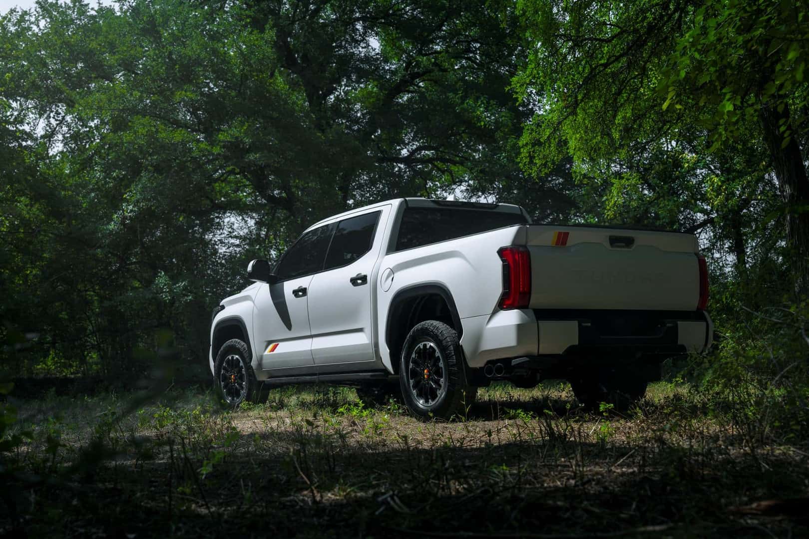 The Sexy Back Profile Of The Adoptable 2025 Toyota Tundra TRD Rally Package