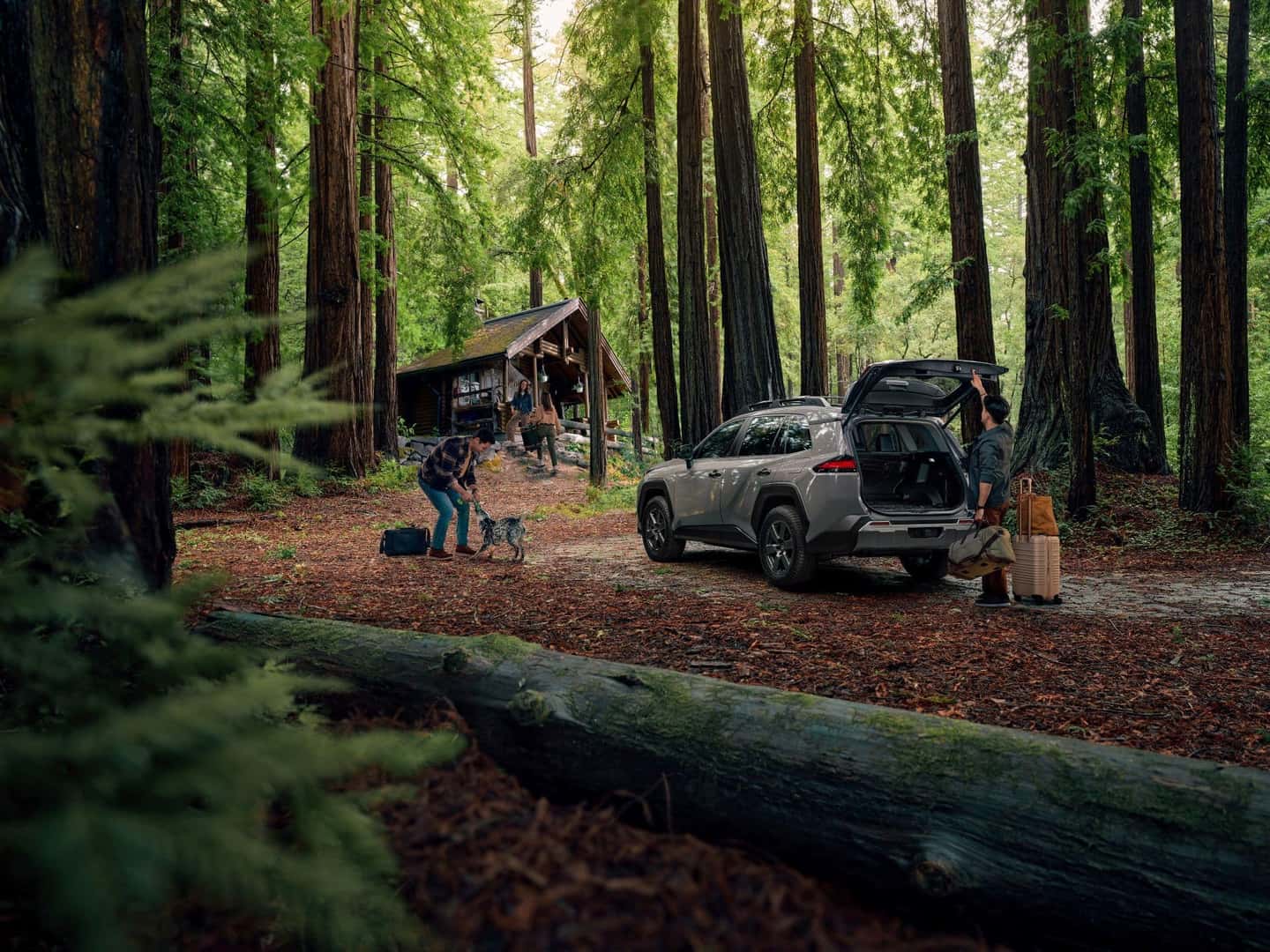 The Family Friendly 2026 Toyota RAV4 Woodland Trim, The Family Vehicle For Camping Trips