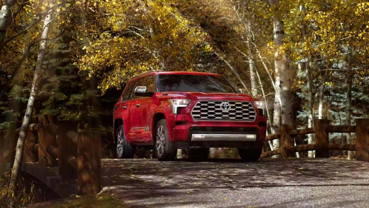 2024 Toyota Sequoia Shepard Toyota