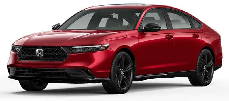 Sport-L Hybrid