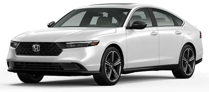 Sport Hybrid