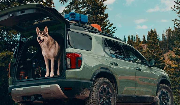 New 2026 Honda Passport Gresham OR