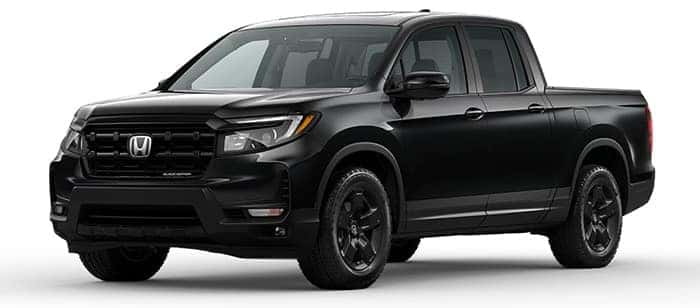 Black Edition
